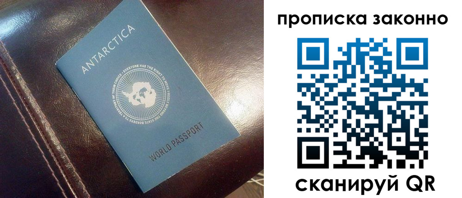 прописка в квартире в Пушкино
